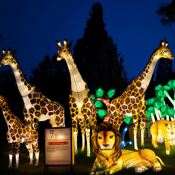 Safari Zoo Decoration Animal Lantern