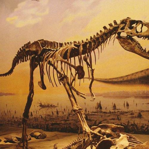 Mudell tad-Dinosawru Fossili